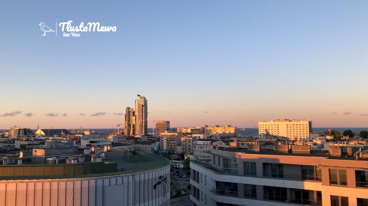 Tłusta Mewa Sea View Gdynia